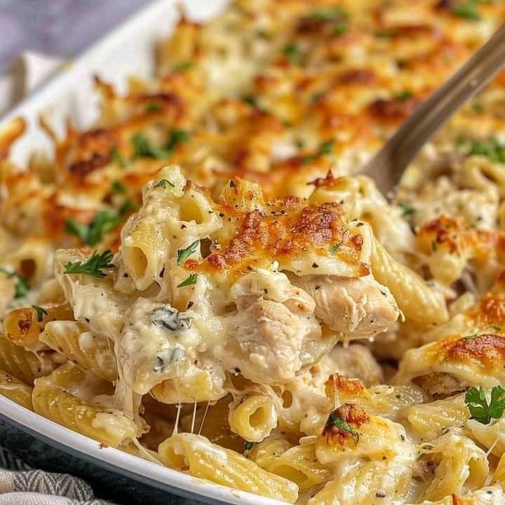 Cheesy Chicken Alfredo Pasta Bake 459159829_504507539195032_5328764071500984569_n