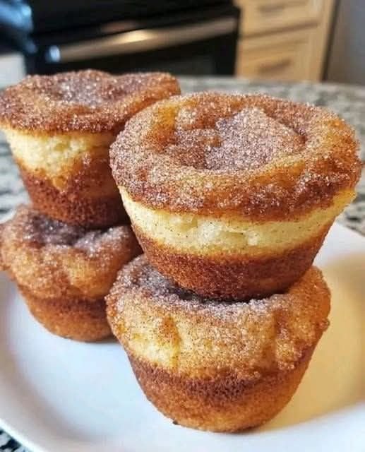 548804931_1263351285538476_5970371859752278676_n