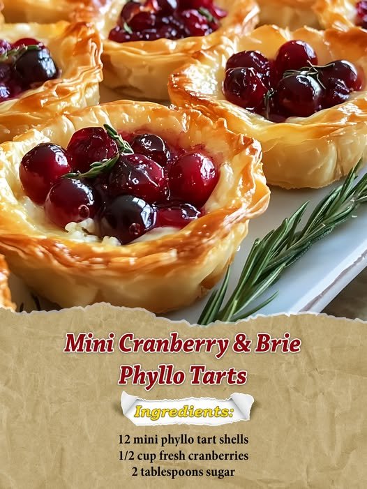 548822773_122228401034170060_3741289189606577070_n