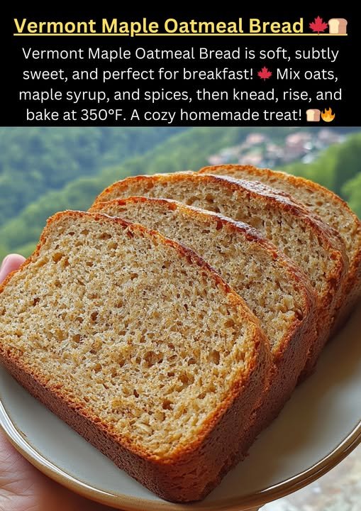 549103150_1395350912187795_5308037781882436662_n