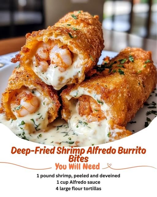 549471909_1331458358412650_36888153272319842_n