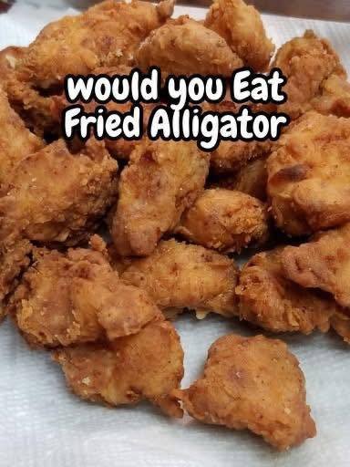 556830062_1364588961759854_3777459799567084613_n