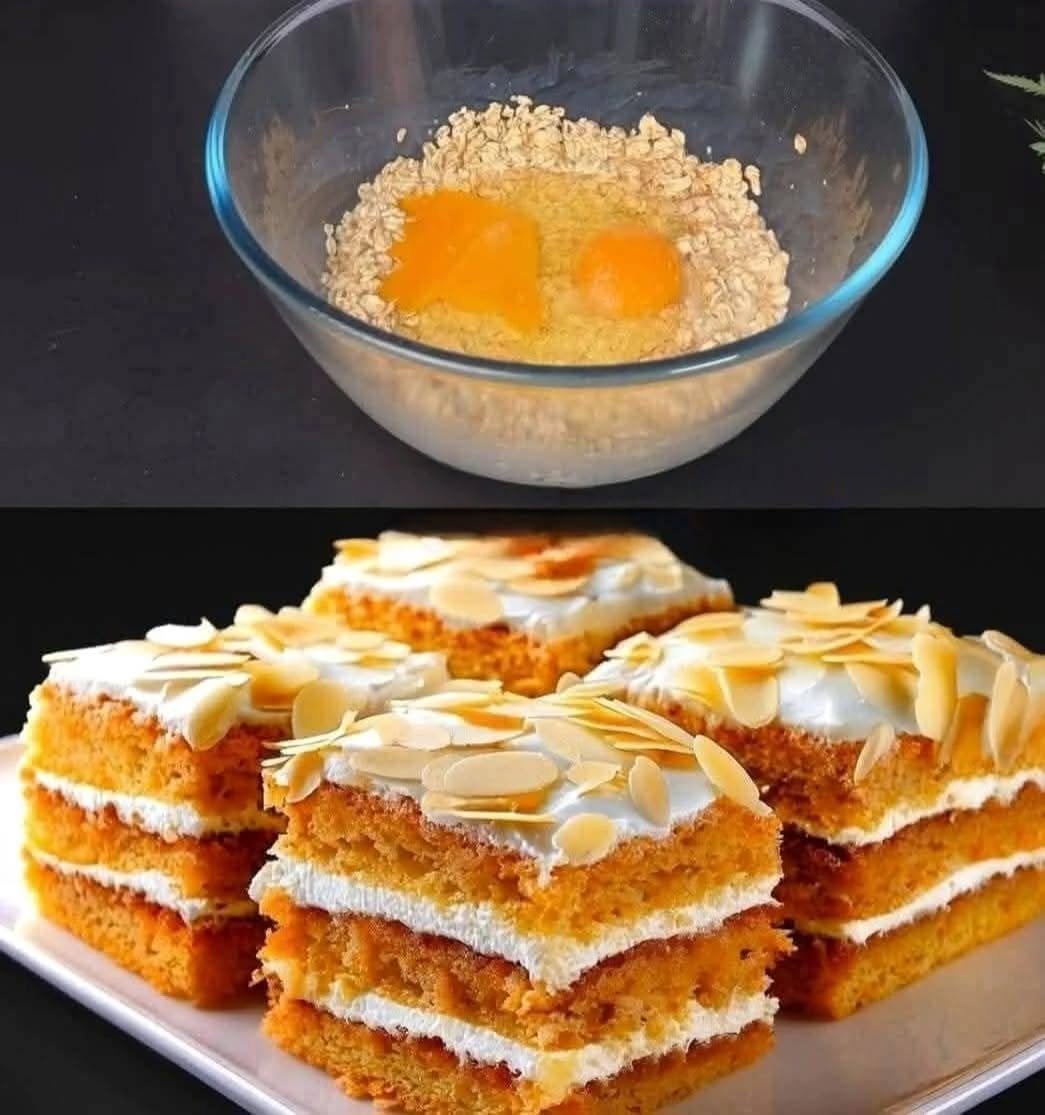 557623186_1698368298235336_5554408035237661961_n