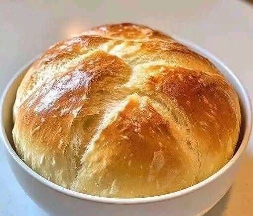 557640643_1428830378348726_9074532048709205474_n