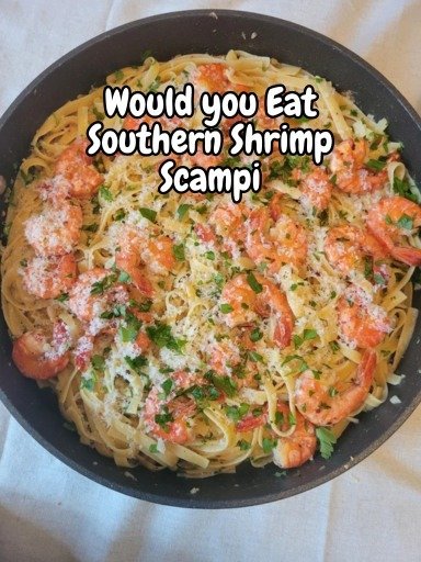 558318218_729293286790108_5047459595346915004_n