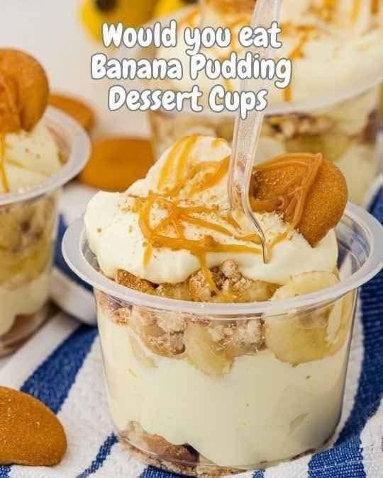 560023737_728188443567259_6075165508430989989_n