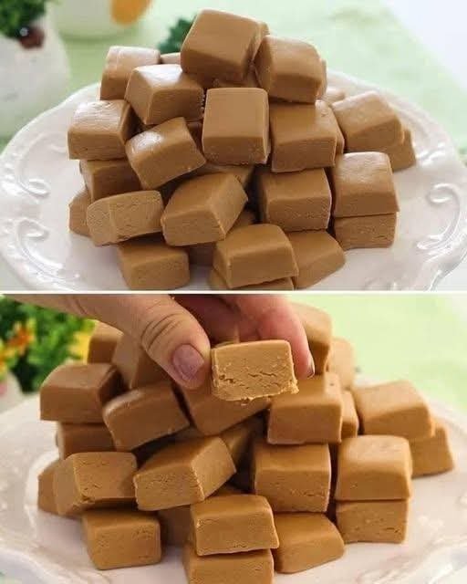 Sweet Milk Fudge Squares (2-Ingredient Milk Barfi) FB_IMG_1761839292820