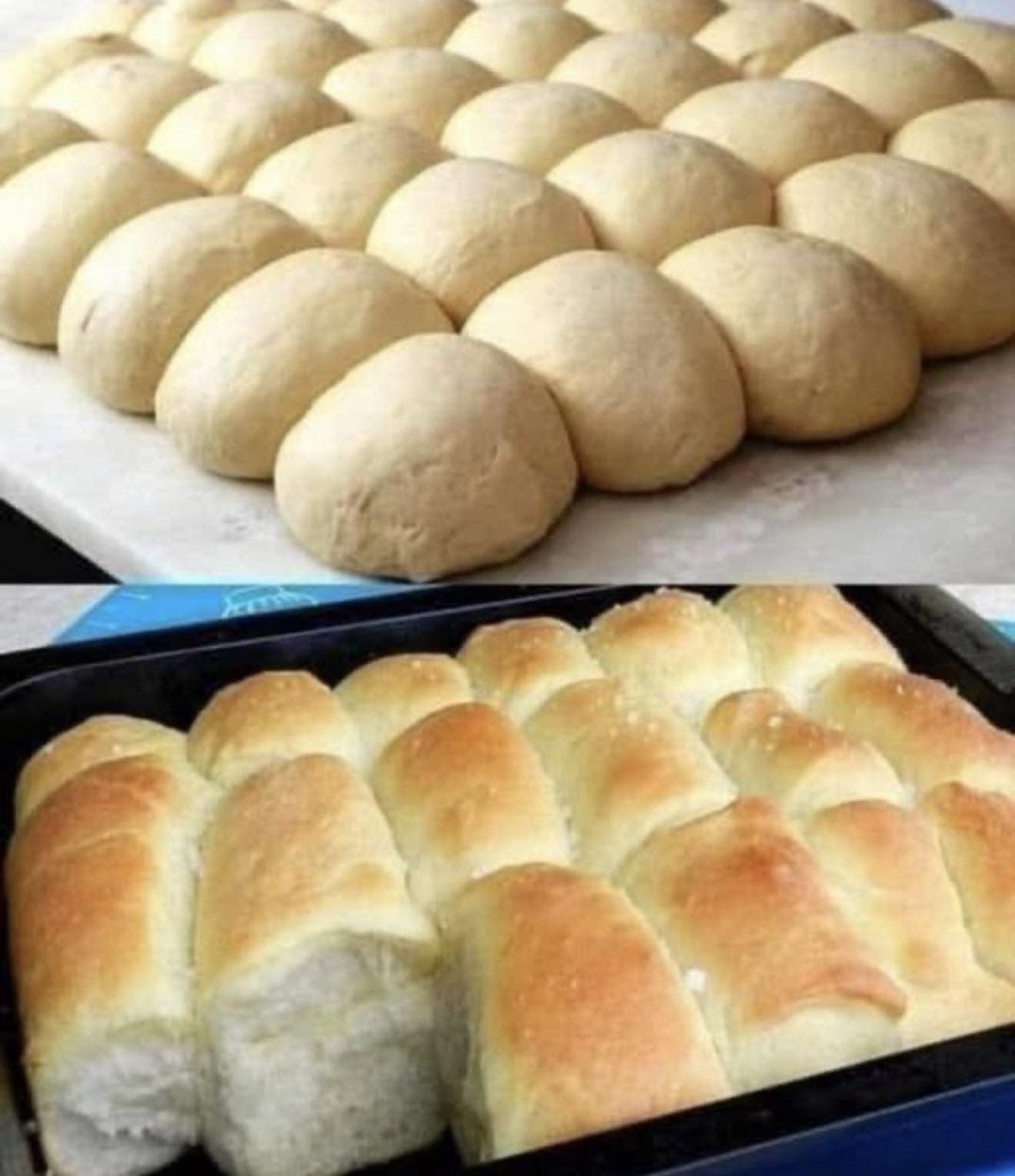 578006101_1368924698059685_6677759553427751304_n