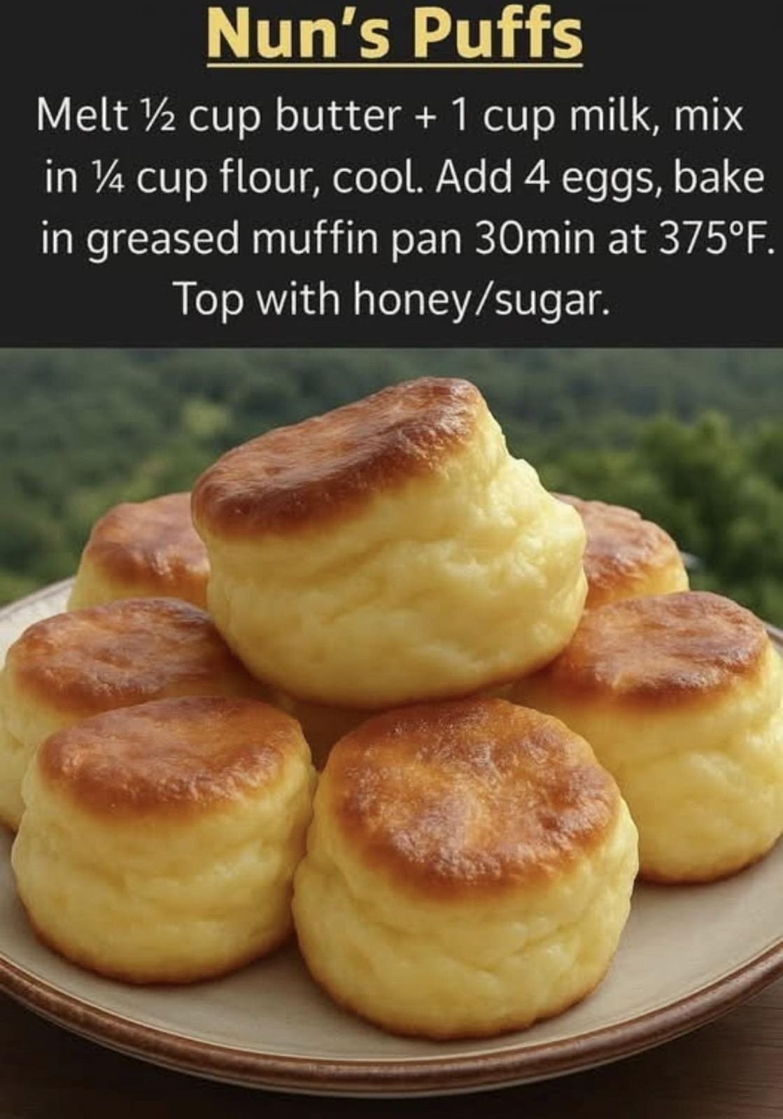 581208117_1565705827936604_5440185095512796054_n