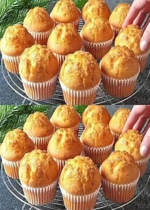 583264078_1408156304651235_6891394078868332067_n