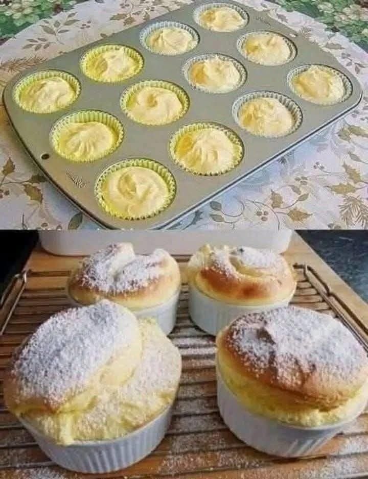 586558157_2021396055305660_8044463732344104244_n