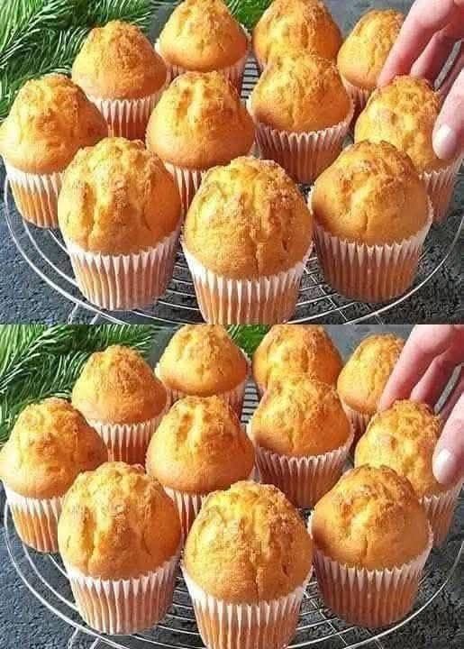 588173388_1416973700436162_3264637637065953764_n