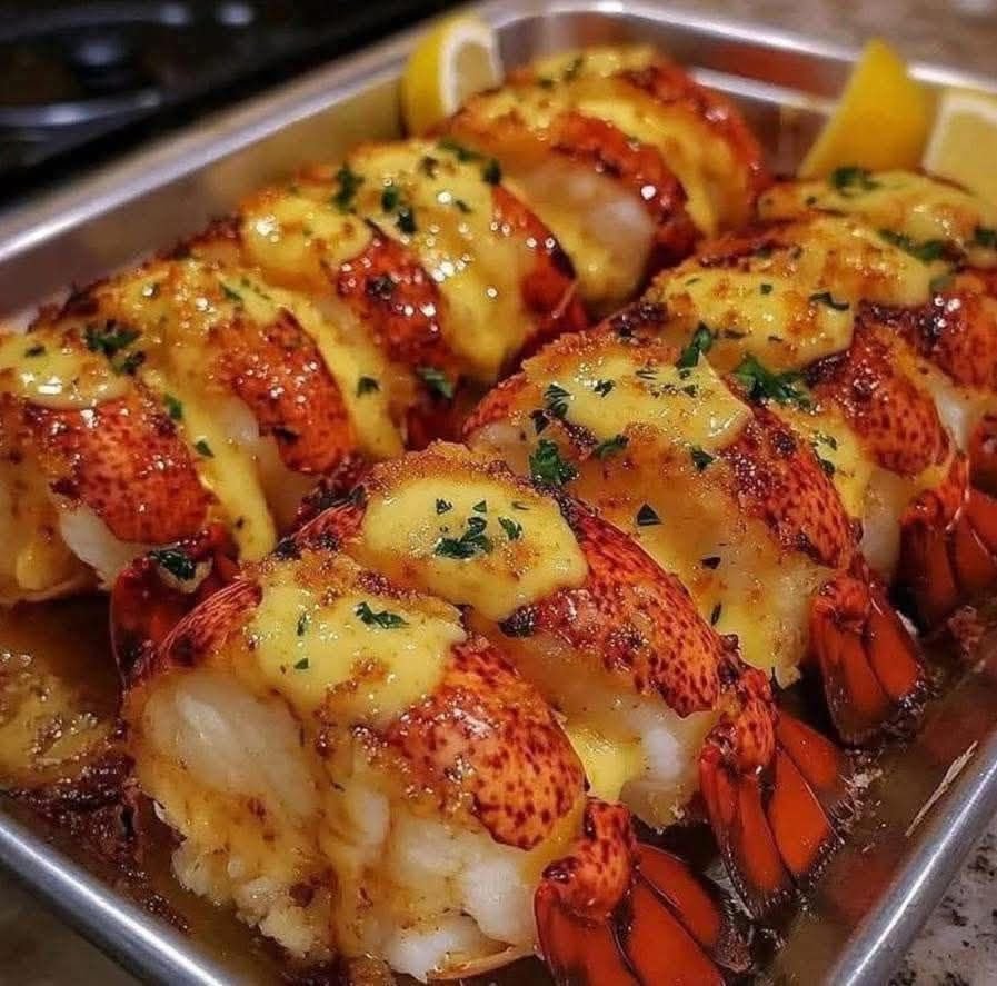 596055650_1537037530896969_2494484314306096104_n