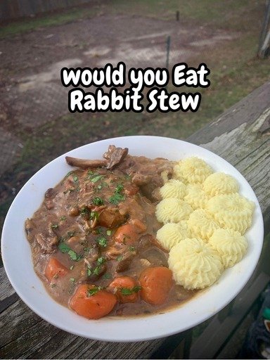 602435603_3360315570786742_9167031050725737207_n