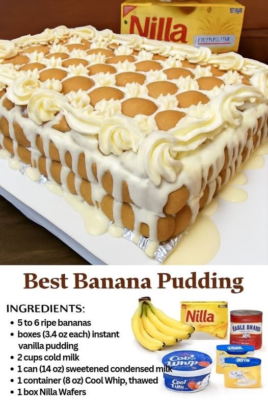 606851471_898402299179849_6239449484706181312_n