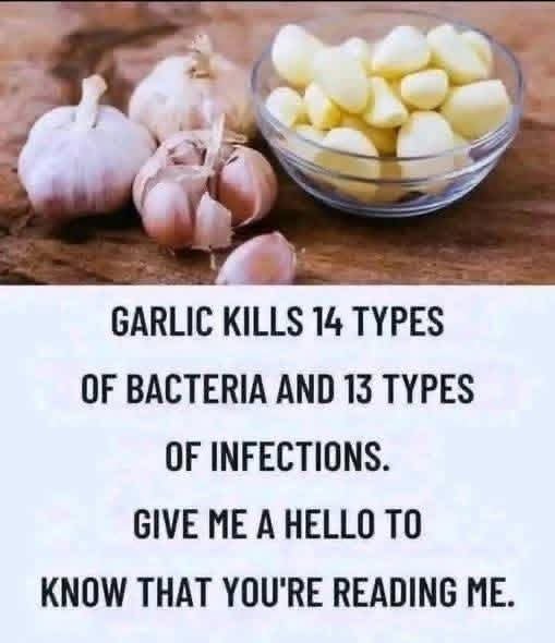 FB_IMG_1764785841427