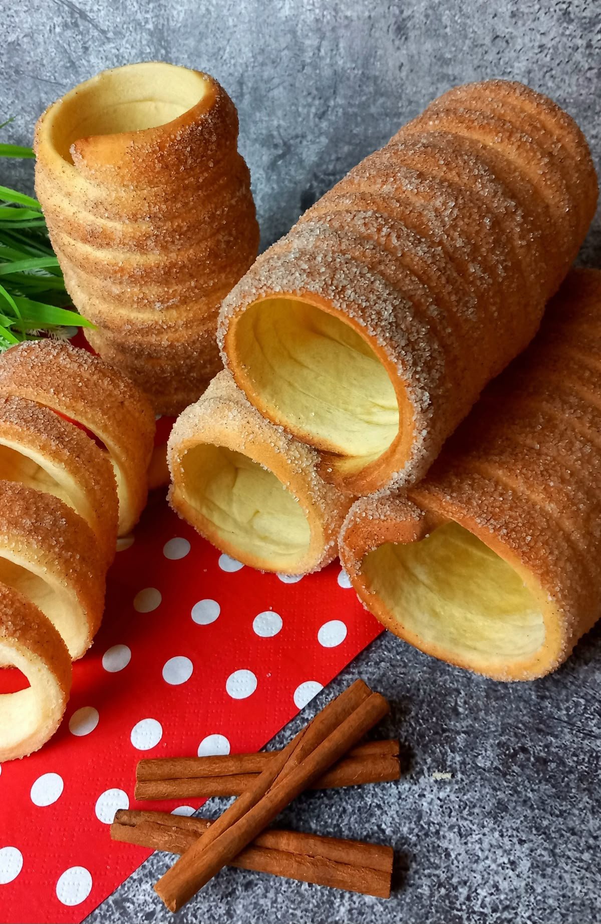 e9b699e5fc1990cb61bb7db2e80eff1e