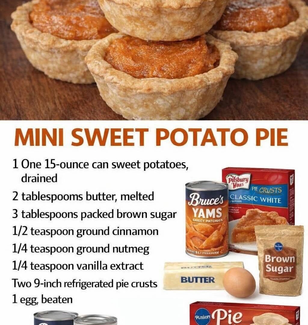 608408610_901210315565714_6011538999789863975_n