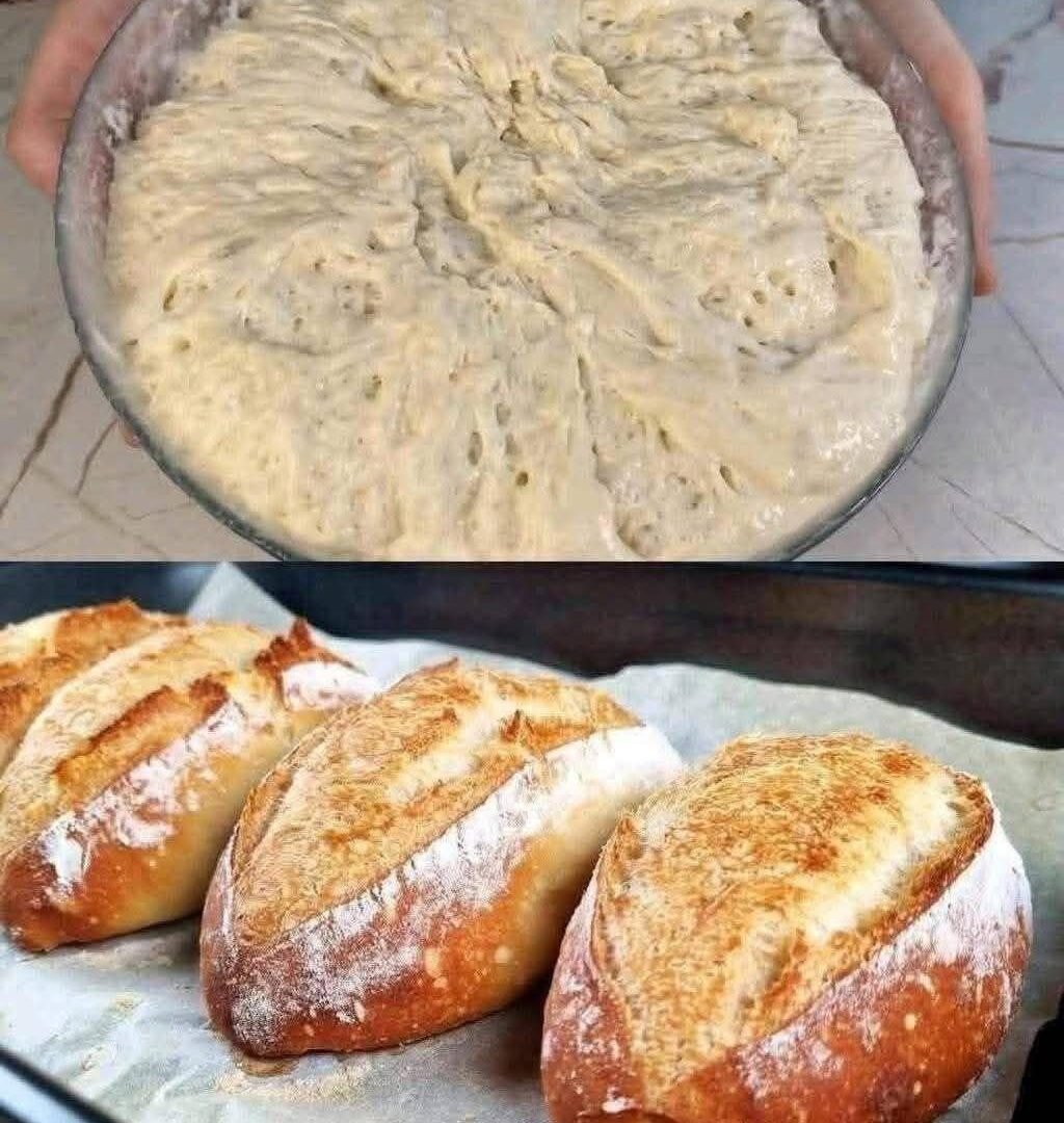 615270407_899682709089347_3746080740669492563_n