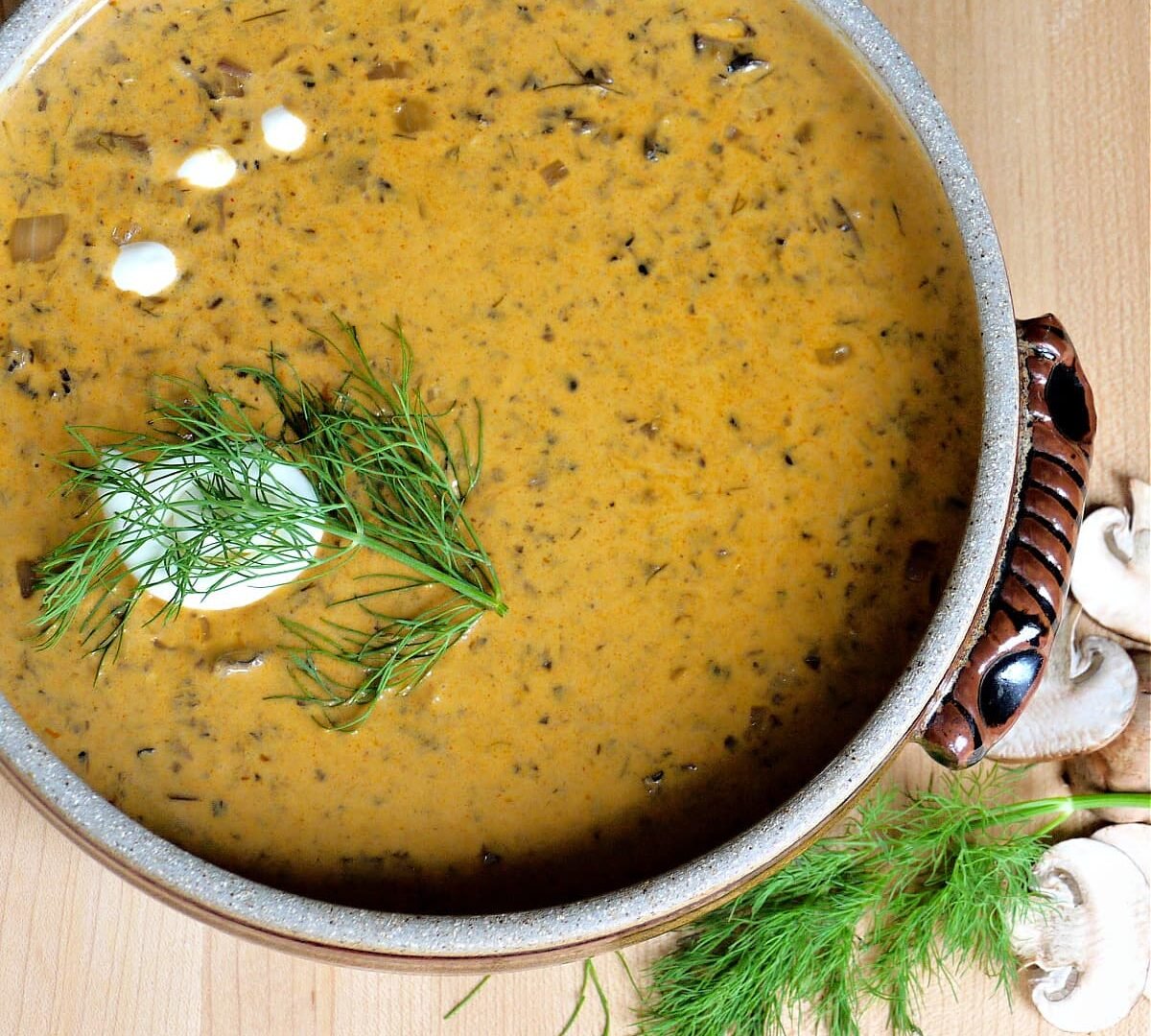 Hungarian Mushroom Soup (Szekelyderzs) hungarian-mushroom-soup-f