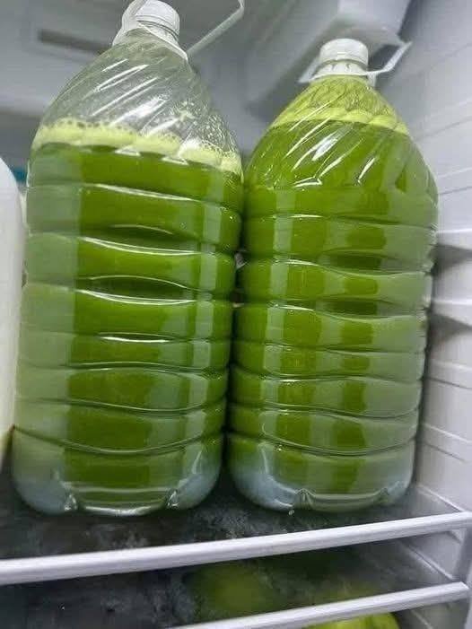 634174929_26126819463616346_4937164561202090265_n