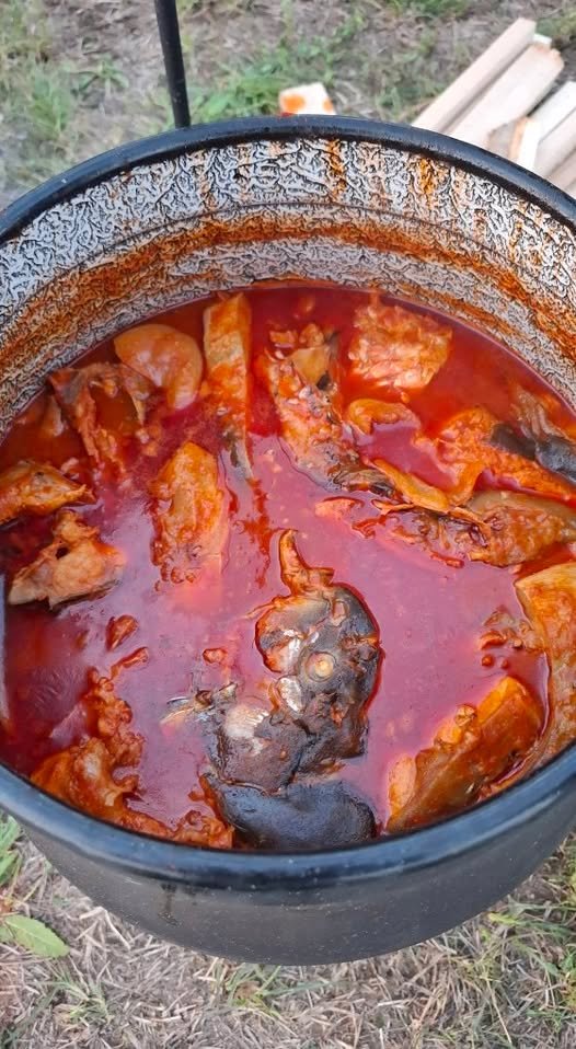 644493738_1369599308515467_3266530269026030364_n